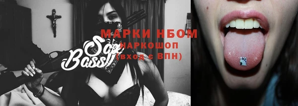 стафф Алзамай