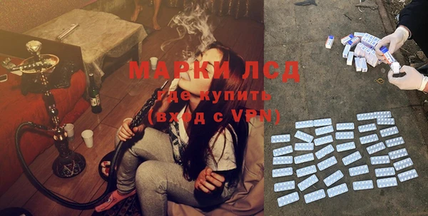 стафф Алзамай