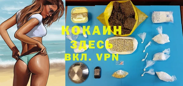 стафф Алзамай